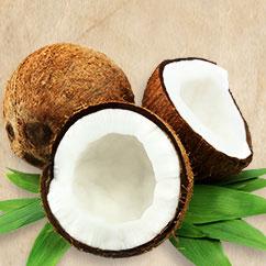 Coconut  